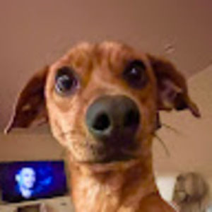 Meet your Posher, Tabitha